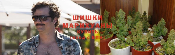 дмт Алзамай
