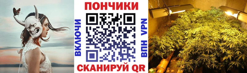 цены   ОМГ ОМГ tor  Бошки Шишки план  Алейск 